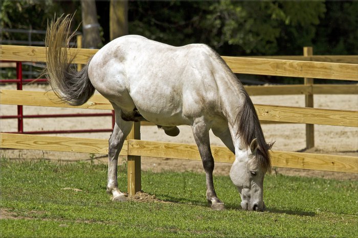 Обои на рабочий стол / Super mix wallpapers 25