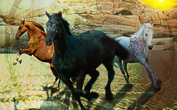 Обои на рабочий стол / SuperWallpapersP.124