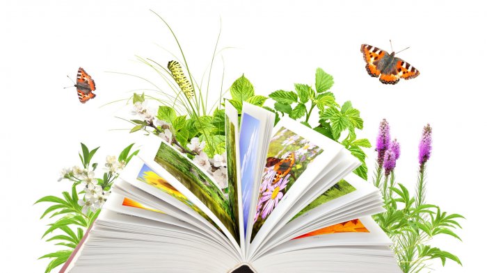 Обои на рабочий стол /HQ Wallpapers Mix 216