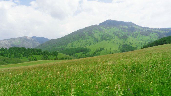 Обои на рабочий стол /HQ Wallpapers Mix 216