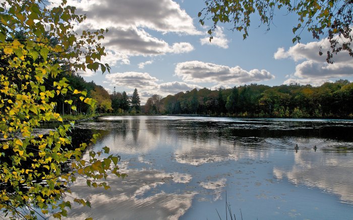 Обои на рабочий стол /Computer Desktop Wallpapers Collection 845