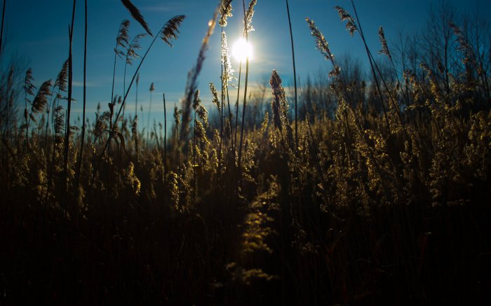 Обои на рабочий стол /Best HD Wallpapers Pack 1149