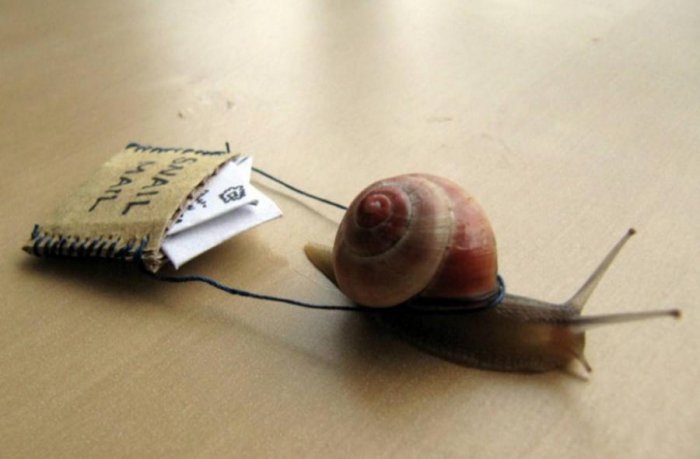 Надежность vs. XXI век: покупать ли в интернете?