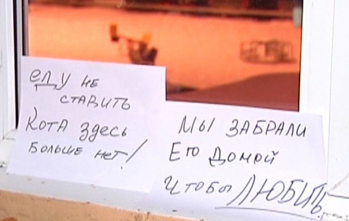 Забавные картинки