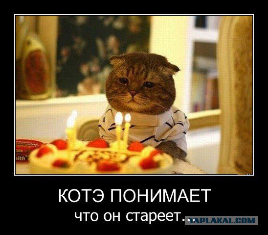 Жиденькая подборка вяло-прикольных картинок №2