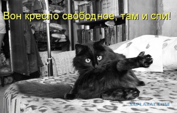 Жиденькая подборка вяло-прикольных картинок №2