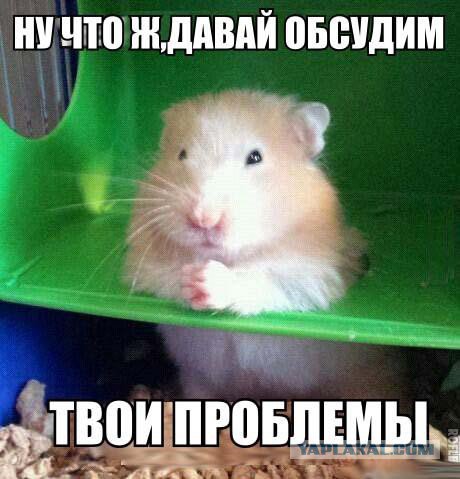 Жиденькая подборка вяло-прикольных картинок №2