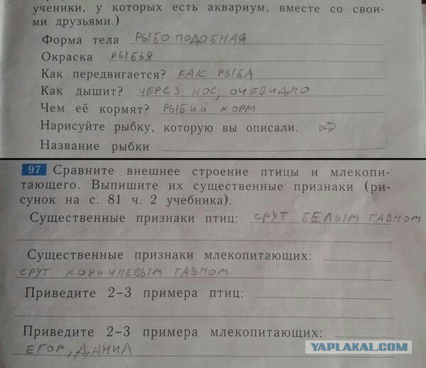 Жиденькая подборка вяло-прикольных картинок №3