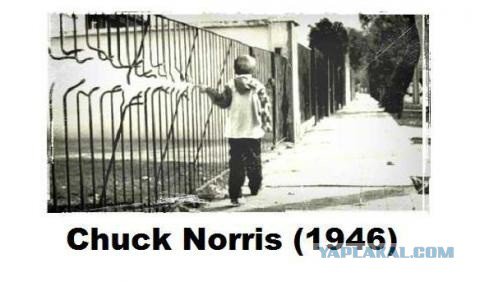 Жиденькая подборка вяло-прикольных картинок №3