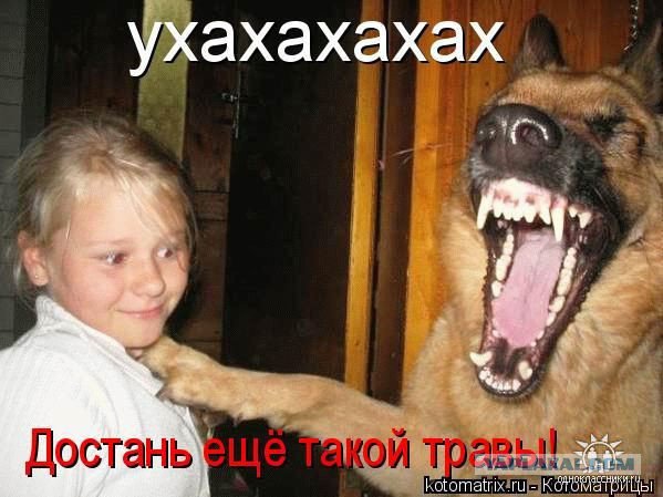 Жиденькая подборка вяло-прикольных картинок №4