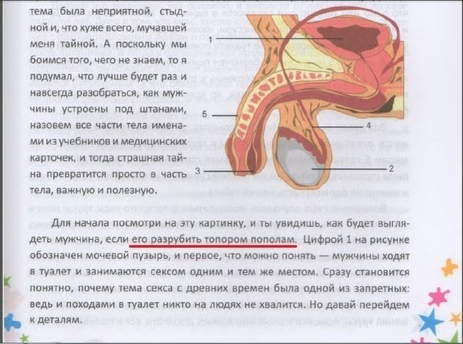 Забавные картинки