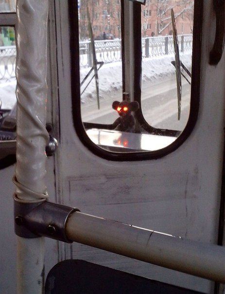 Забавные картинки