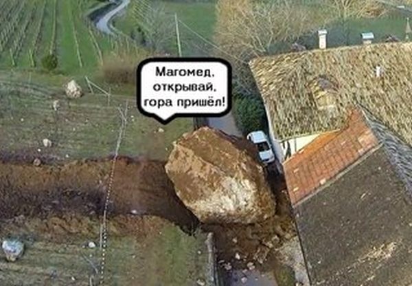 Забавные картинки