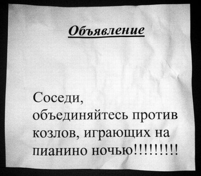 Забавные картинки