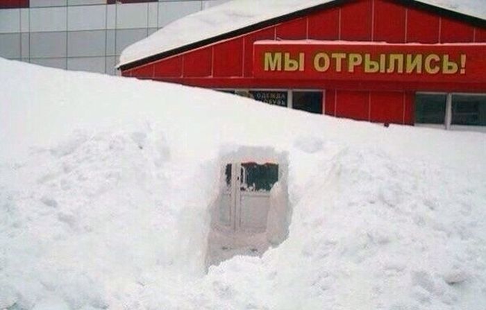 Забавные картинки