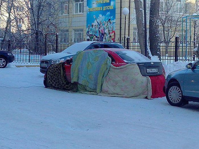 Забавные картинки