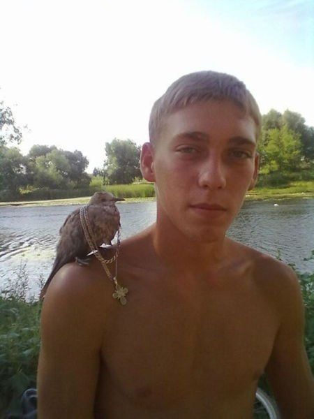 Забавные картинки