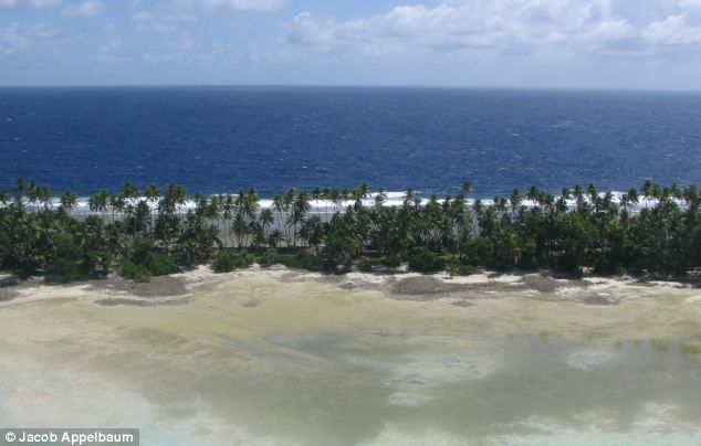 Остаться в живых Остаться в живых