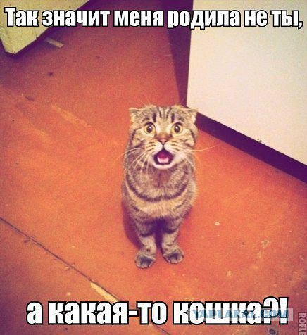 Жиденькая подборка вяло-прикольных картинок №5