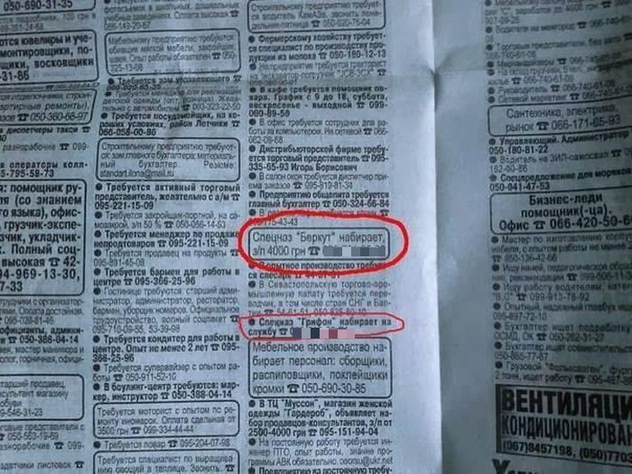 Забавные картинки