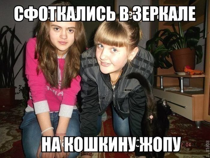 Забавные картинки