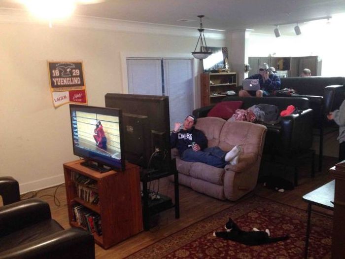 Забавные картинки