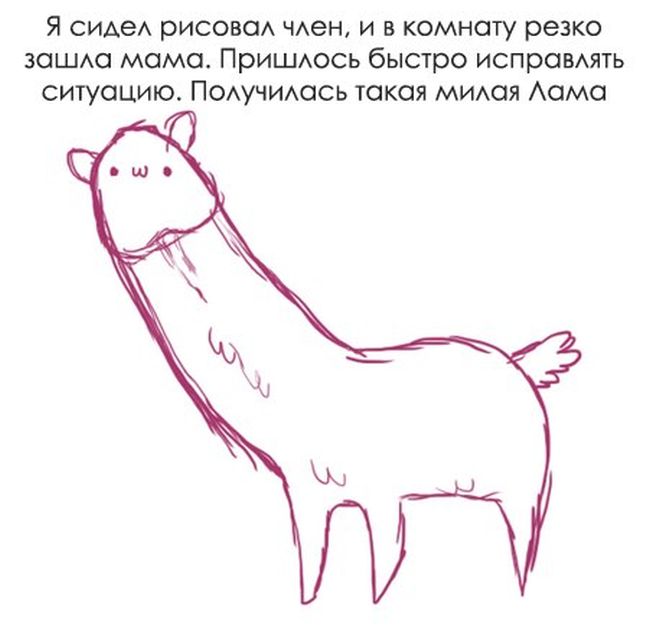 Забавные картинки