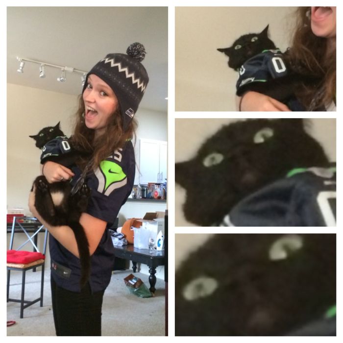 Забавные картинки