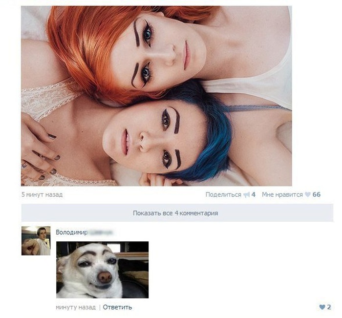 Забавные картинки