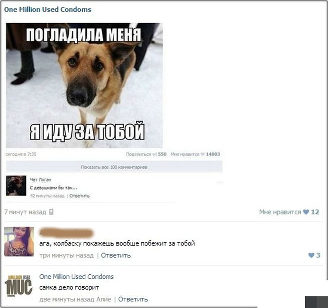 Забавные картинки