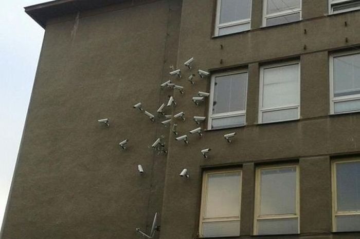 Забавные картинки