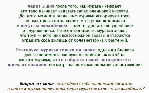 Смешные комментарии из социальных сетей №2