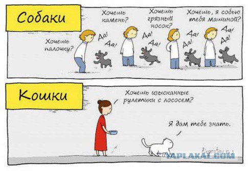 Жиденькая подборка вяло-прикольных картинок №6