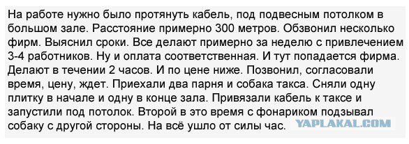 Жиденькая подборка вяло-прикольных картинок №6