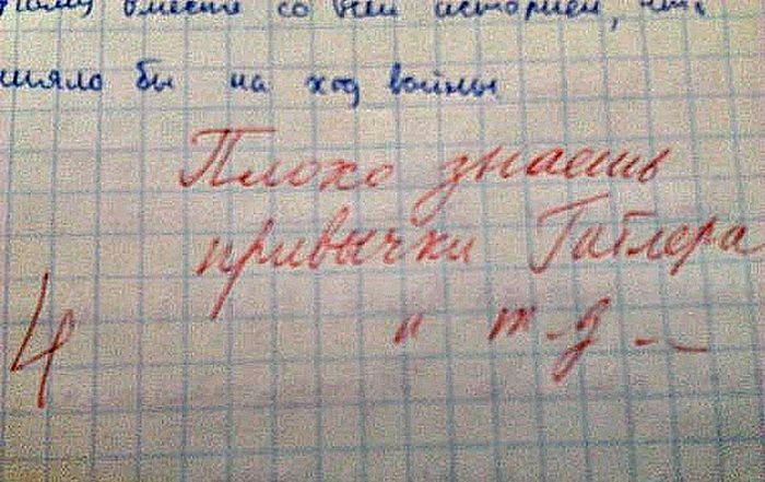 Забавные картинки