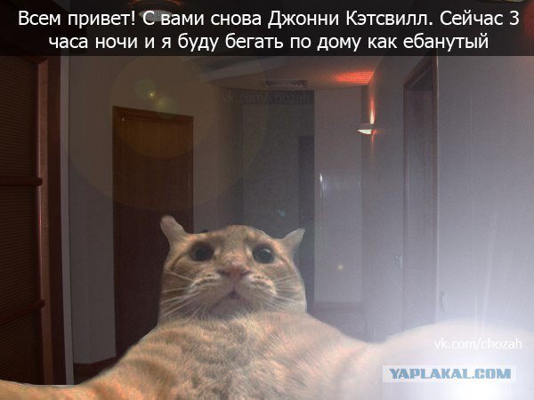 Жиденькая подборка вяло-прикольных картинок №8