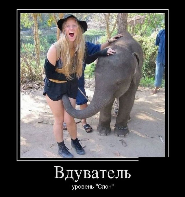 Жиденькая подборка вяло-прикольных картинок №9