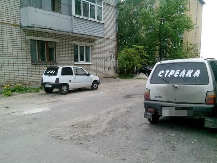 Забавные картинки