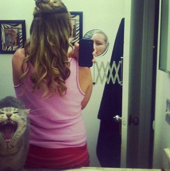 Забавные картинки