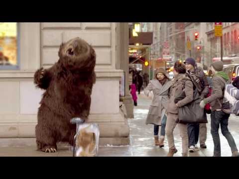 Робот-медведь в Нью-Йорке