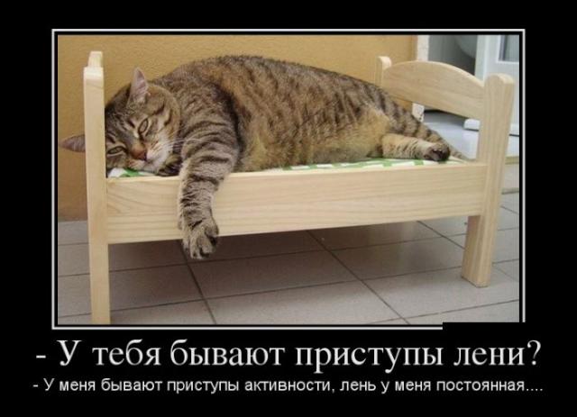 Демотиваторы (30 фото)