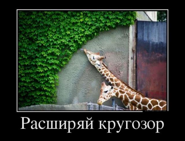 Демотиваторы (30 фото)