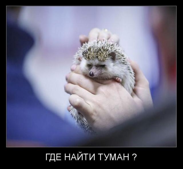 Демотиваторы (30 фото)