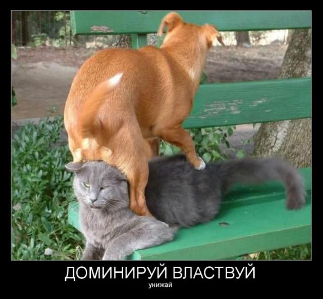 Демотиваторы (30 фото)