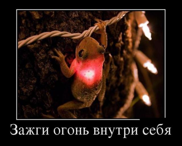 Демотиваторы (30 фото)