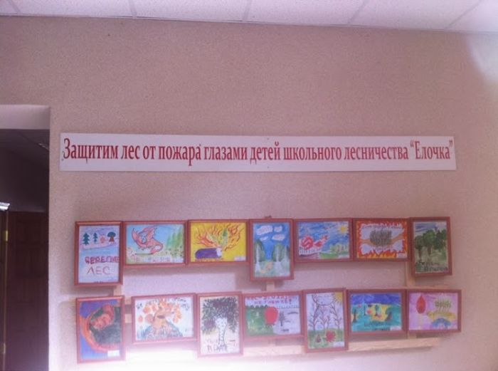 Забавные картинки