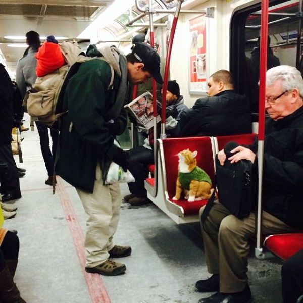 Забавные картинки