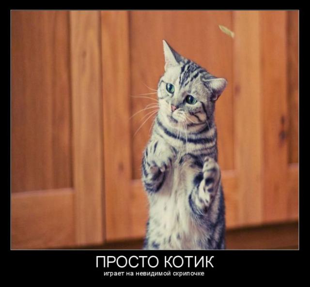 Демотиваторы - 149