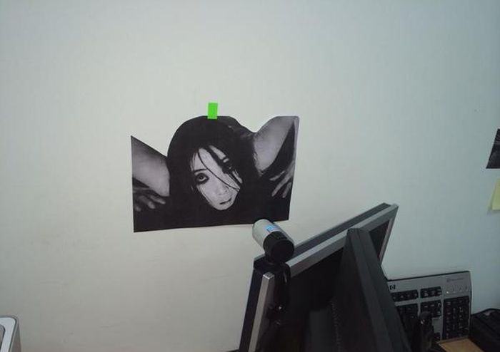 Забавные картинки