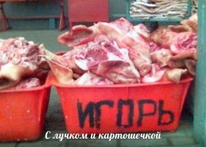 Забавные картинки